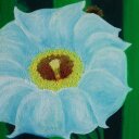 Lisa Pharr - @LisaPharr1 - Twitter