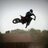 BAMX93's profile image