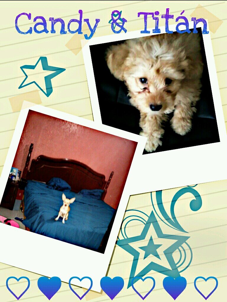 irlanditalupita's profile picture. Hola soy pita y vengo a robarte una sonrisa ♡