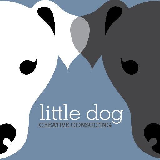 Mary Ann is the founder of Little Dog Creative Consulting, providing consulting services in grant writing, arts management & capacity building.