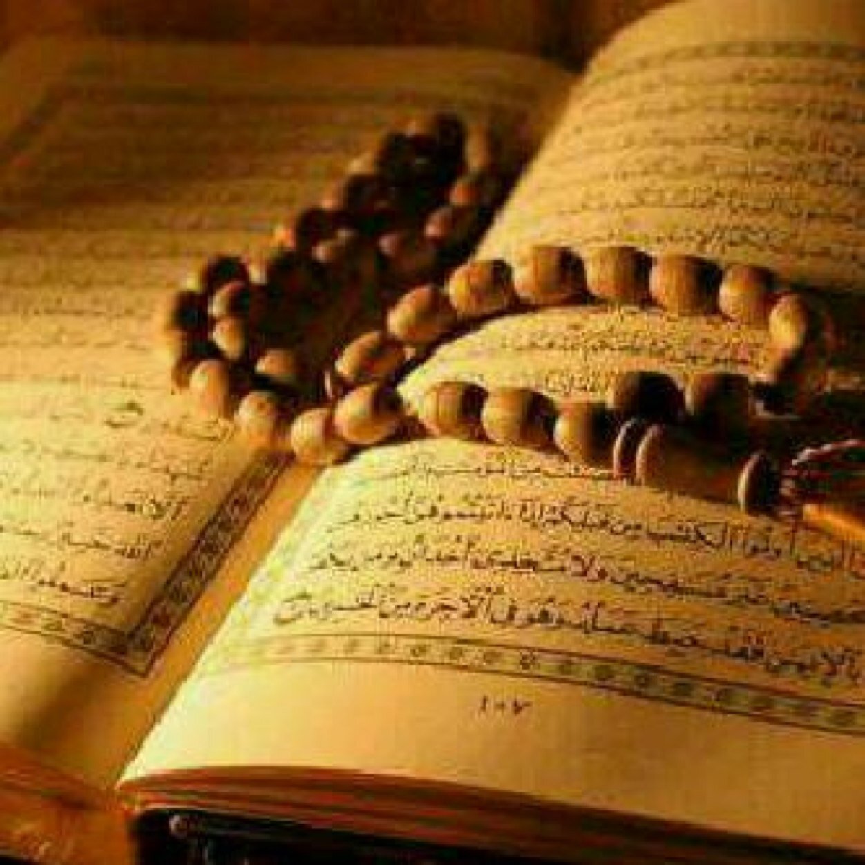 تم حذف الحساب بنجاح