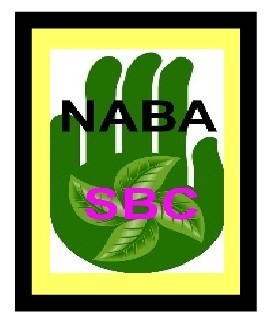 NABA Flagstaff Sustainable Building Committee