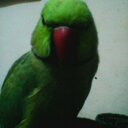 saba naz - @ssaba751 - Twitter