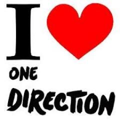 Our dream is to meet One Direction