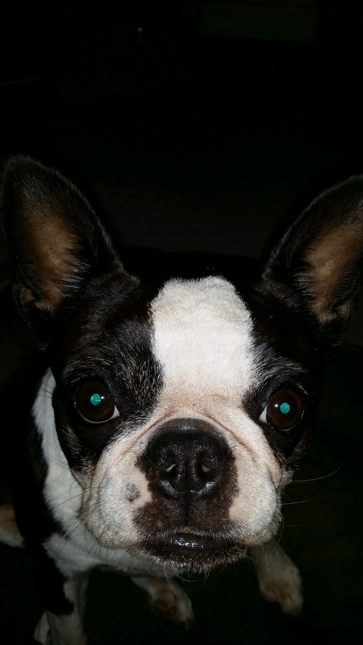 Easmw's profile picture. 