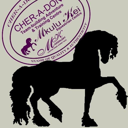 NEW TRAIL! Riding holidays on the Sunshine Coast of South Africa, un-spoilt beauty, kilometers of pristine beaches and more. cheryl(at)http://t.co/NYtAmZSHtg