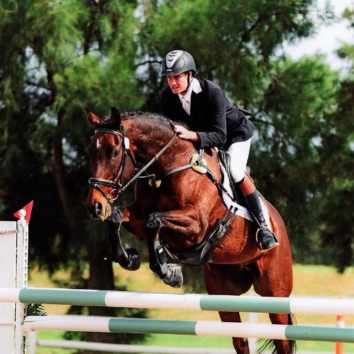 teamolivergray's profile picture. Eventing, dressage and showjumping. Stay classy.