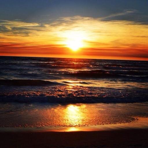 STEVORENO55's profile picture. 