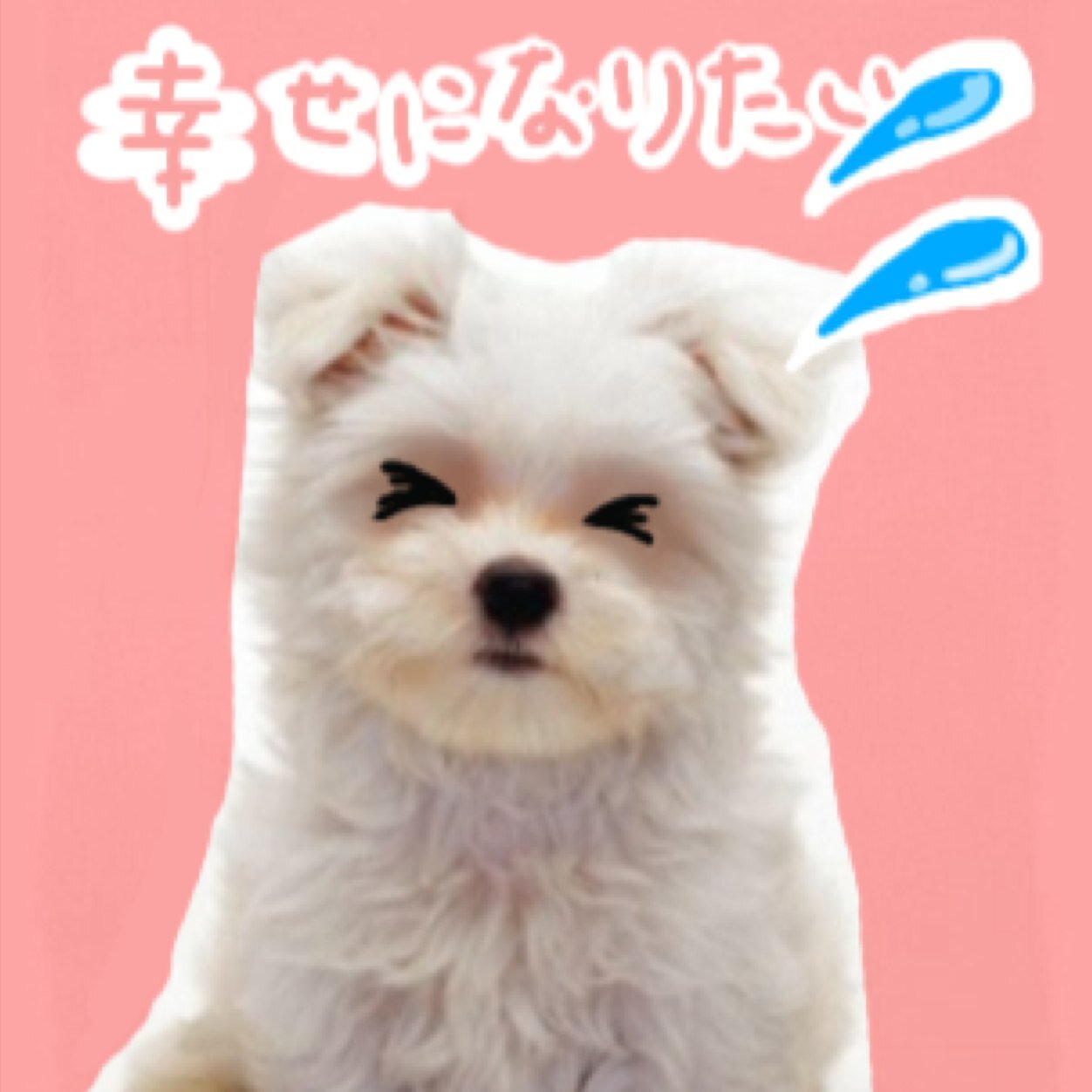 EXO(ベクヒョン、セフン、ルハン、シウミン)B1A4(ジニョン、ゴンチャン) かわいい物 漫画 スイーツ 動物 韓国!! が好きな、小学6年生です(*^o^*) 知らない事もたくさんあるので、いろいろ教えてください。フォロバックは、頑張ろうと思います!