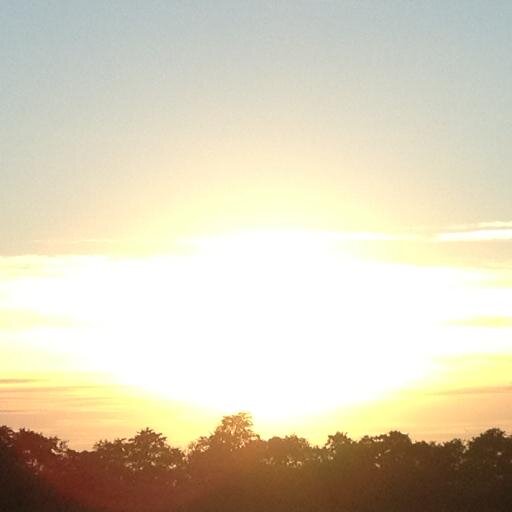 C_Ohlala's profile picture. 