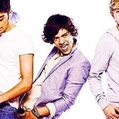 500daysofrose's profile picture. FREE FOLLOW but you should follow @blueeyeddlou