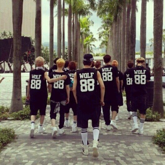 ‏‏‏اتشرف بمتابعتكم واعشق  Exo وانشاء الله اعجبكم واتمنى اني اعيش بكوكب EXO