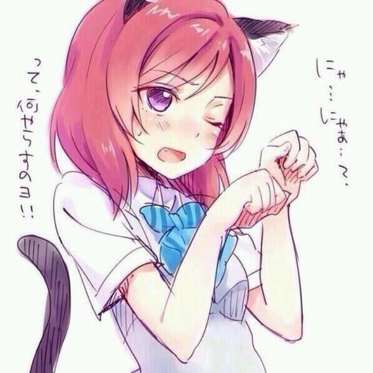 トッシーさんのプロフィール画像