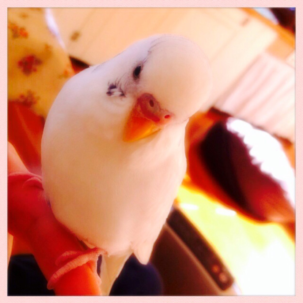 har63850_andy's profile picture. 