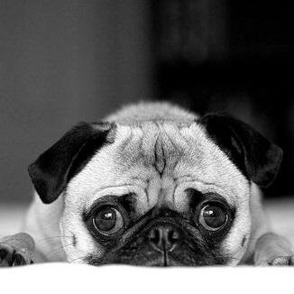 Just Beautiful Black and White Pictures
Submissions/info - BlackWhitePixInfo@gmail.com                                    And Black and White Photos