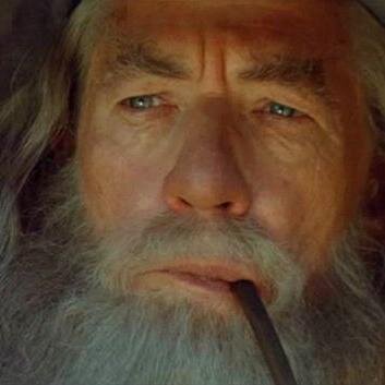 Bitch please i'm not human i am GANDALF