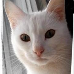 MissDemin2013's profile picture. 