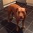 kempster_ellis's profile image