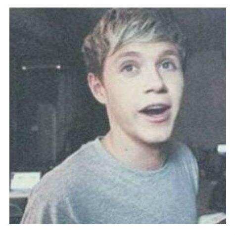 follow @nialldcaprio