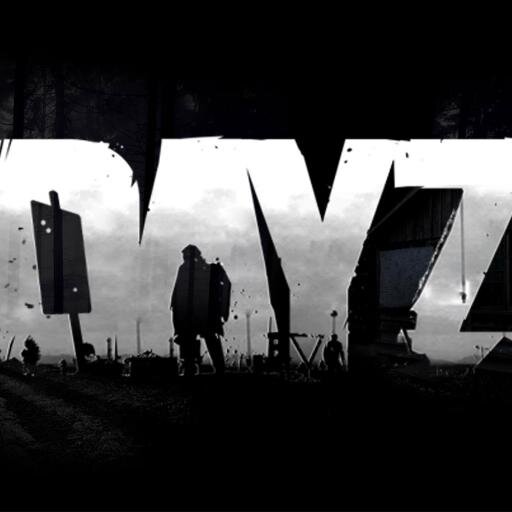 DayZ&Rust&MinecraftGamer!