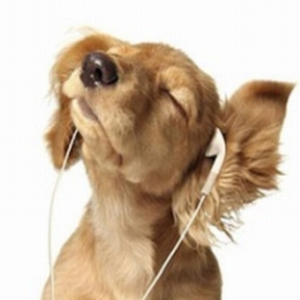 jessica_warman1's profile picture. 