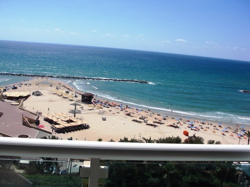 Papaleh's profile picture. 