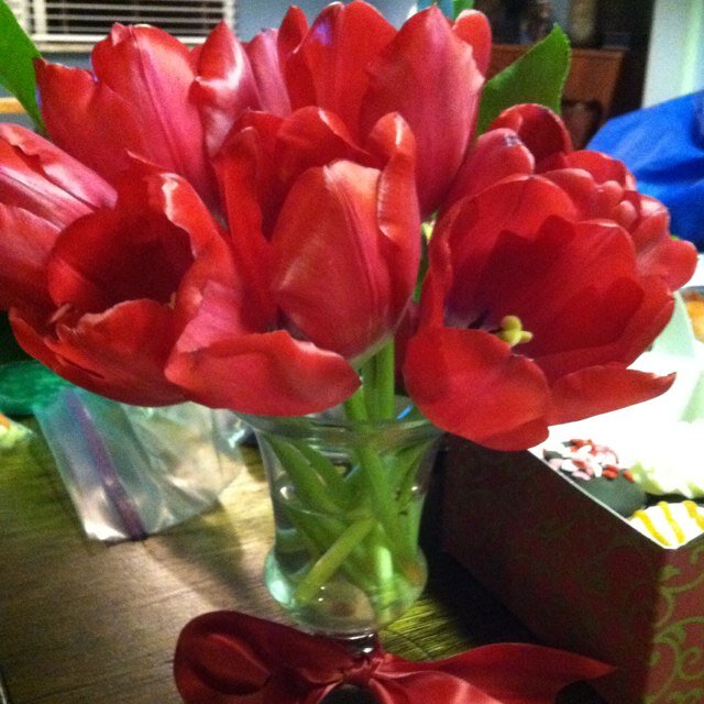 Ephens_Honey's profile picture. Funny and Witty People make the world go round.