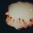 Dooodi141420's profile image