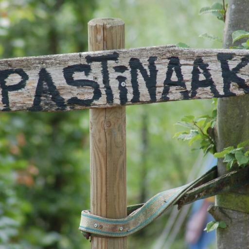 GOUDENPASTINAAK's profile picture. Verkiezing voor de Gouden Pastinaak