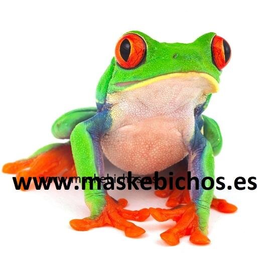 toda clase de reptiles y  material