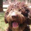 Maria Castells Colom - @CastellsColom - Twitter