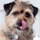 Freda Bell - @fredabellpjx - Twitter