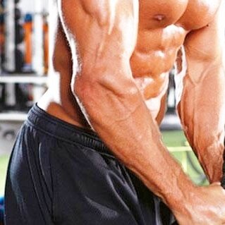 EXEworkoutsMEN's profile picture. best workouts exercises
