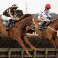 Michael Hamilton (@birneyham) 's Twitter Profile