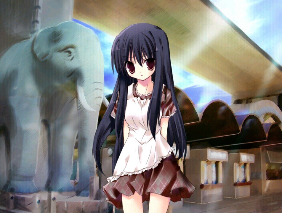 shougoさんのプロフィール画像
