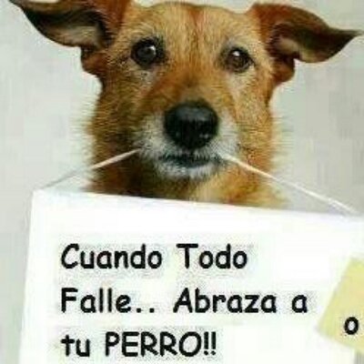 Profile Picture of Mario Perri (@MarioPerri) on Twitter