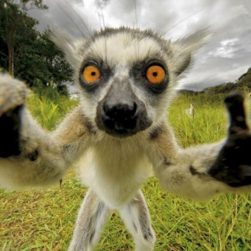 Boulder_Dash's profile picture. Who's yer mate?