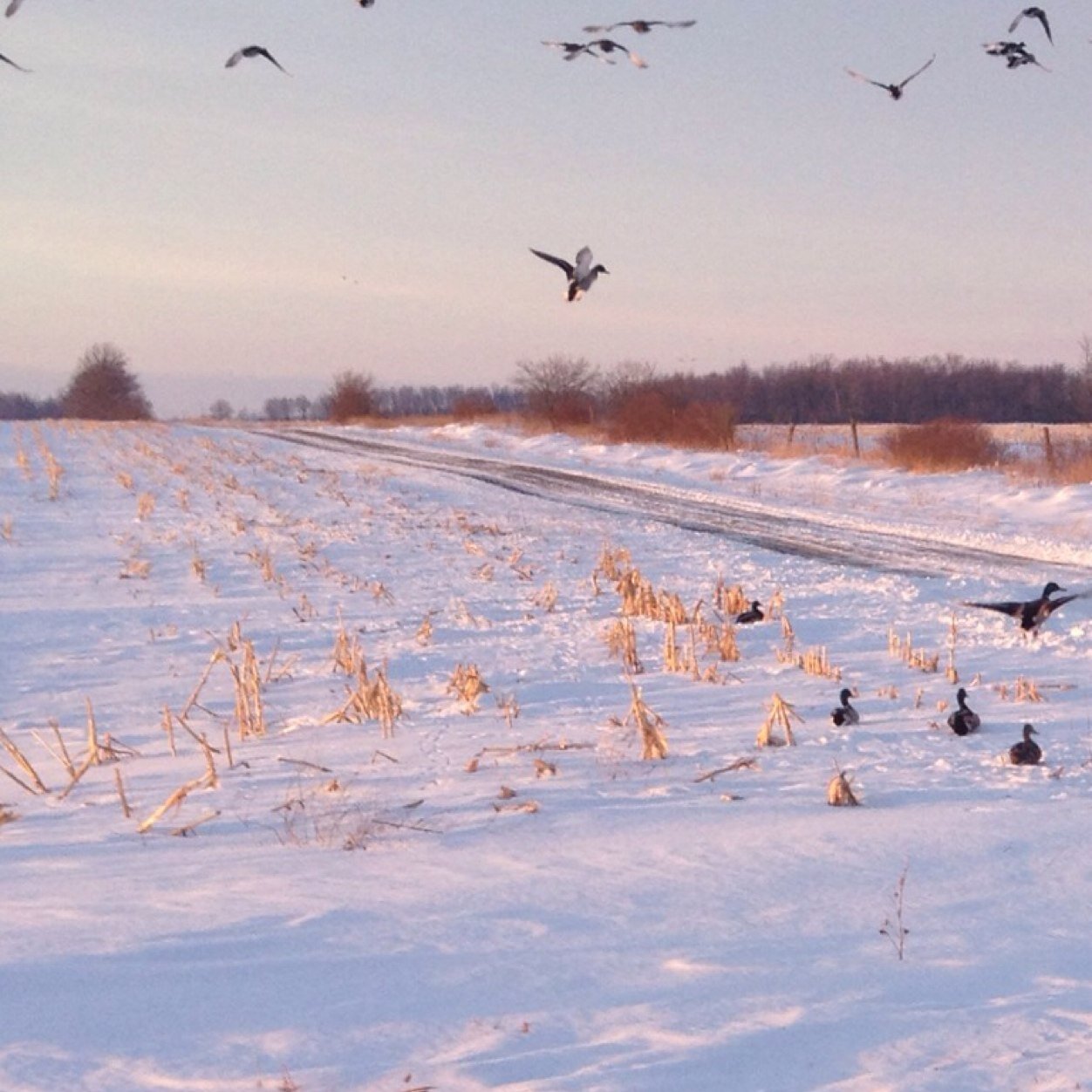 SteveAt24017962's profile picture. 