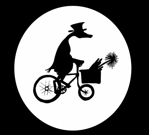 A Grey Goose is a husband and wife team who cleans all sorts of chimneys professionally. Our reputation is your guarantee. Cover areas in Chester, North Wales.
