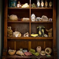 Museumsbund (@museumsbund_at) Twitter profile photo