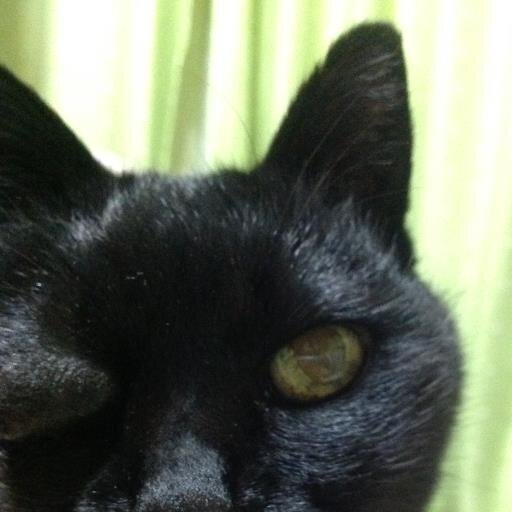 Mariko_Tsuji's profile picture. 音楽と映画が好きです。岐阜県各務原の尾崎パソコン教室にいます。