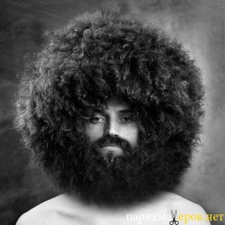 Rolandzz's profile picture. 