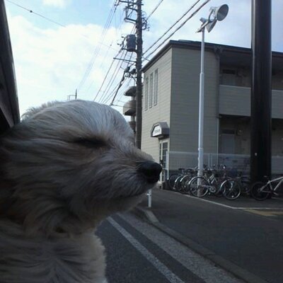 大谷空渡 Ku Twitter