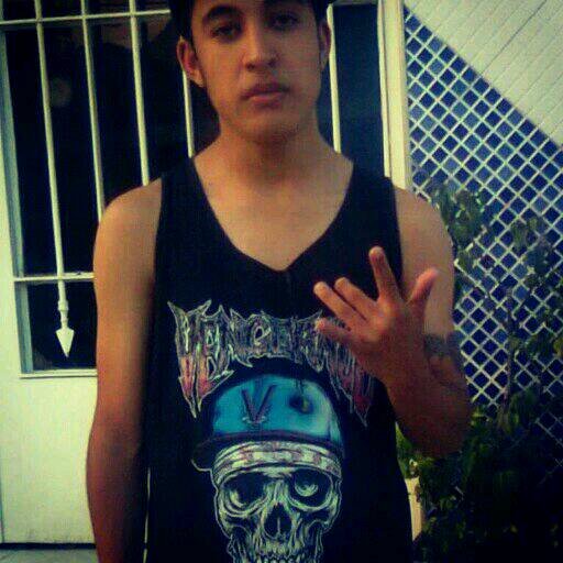 Quem se descreve se limita