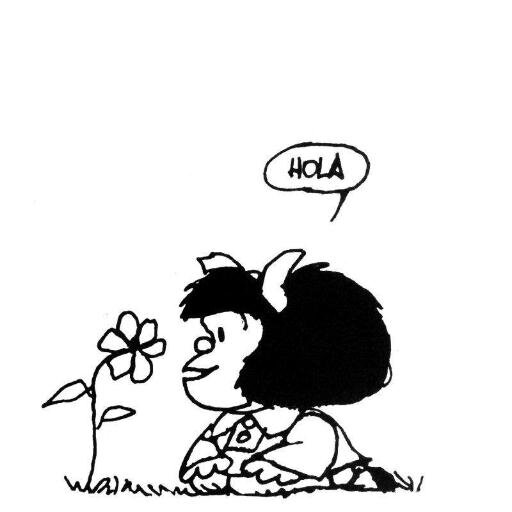 SGCHAS's profile picture. 