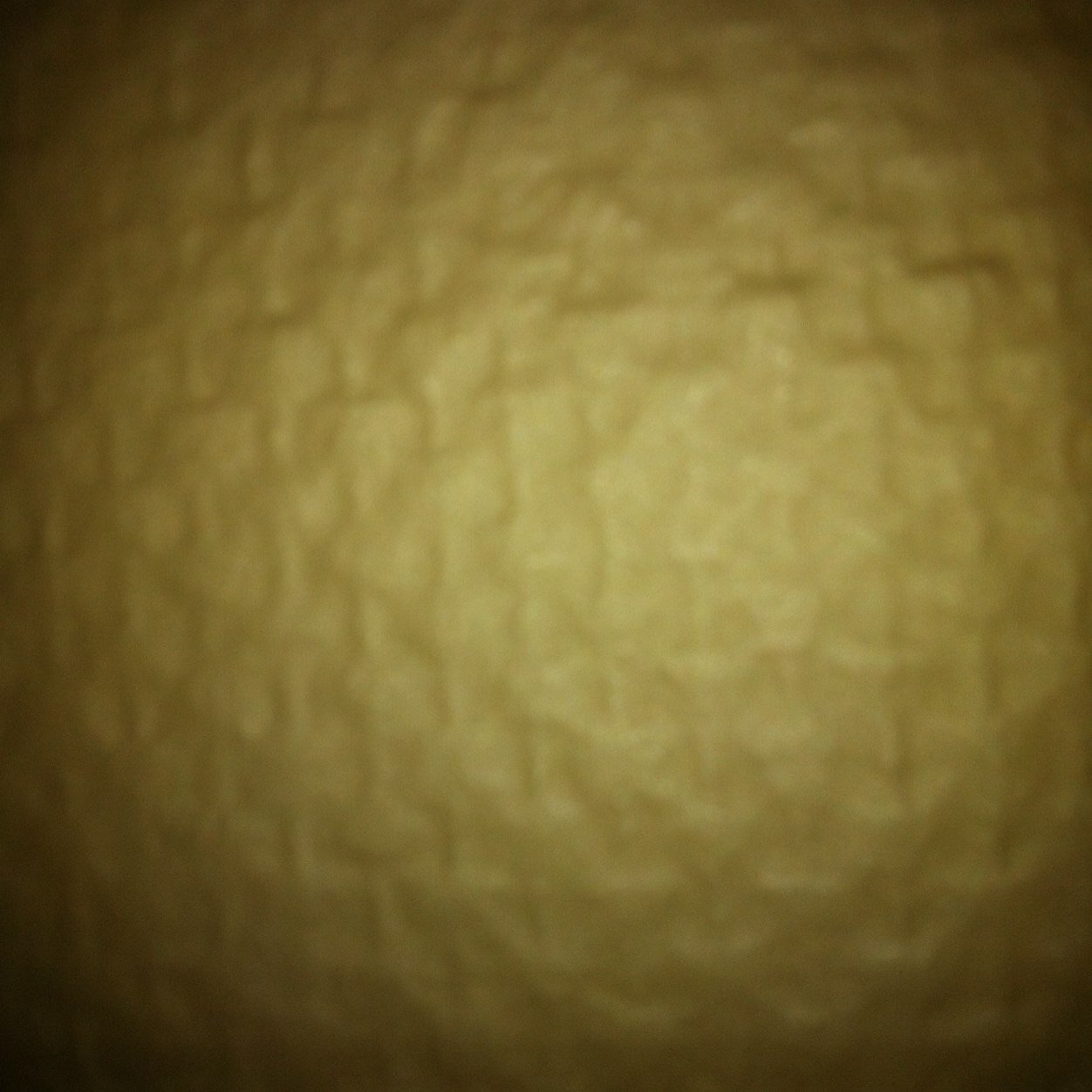 ThaikrcC's profile picture. 