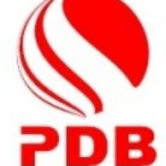 pdbglobal's profile picture. Property Data Automation, Data Analysis and Managed Services