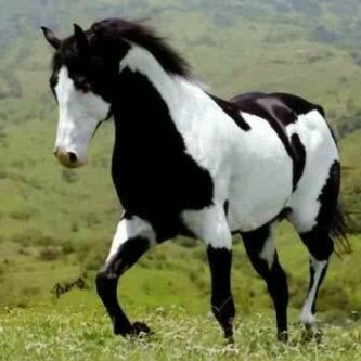 allura38's profile picture. Simple and Kind  XLCBCNAZ WOW #WowEarners  RX9HBDGV  HJL8DHAL