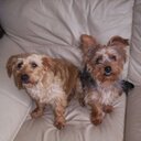 Jane Crawley - @alfieboy2004 - Twitter