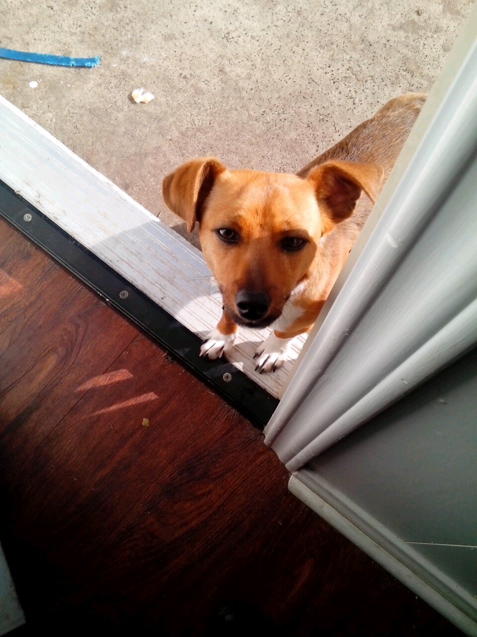 PreciousMatini3's profile picture. 